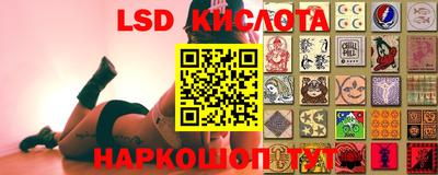 прущие грибы Бийск